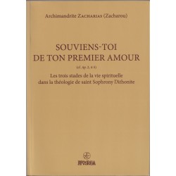 Souviens-toi de ton premier amour. (Livre broché) - Occasion